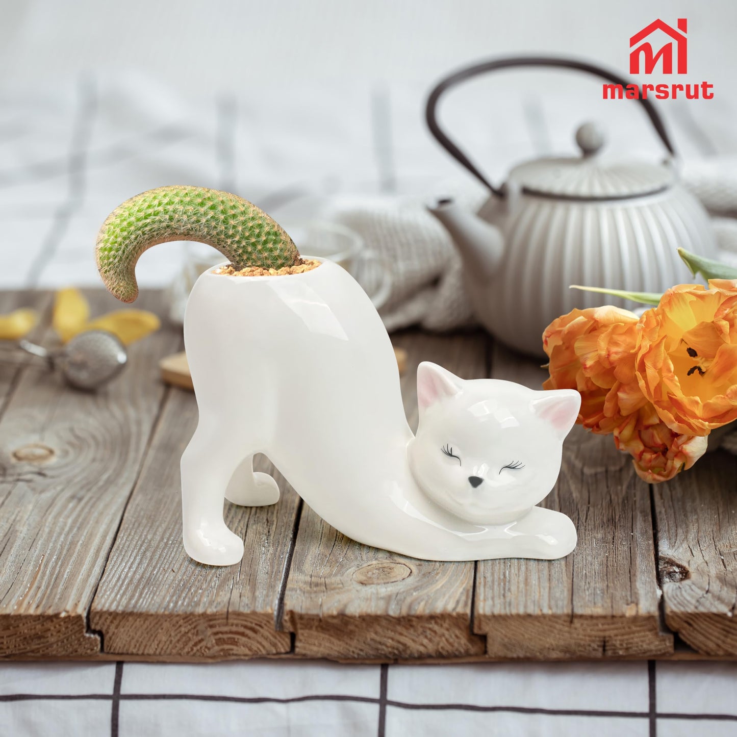 Cute Cat Planter Pot Indoor Flower Vase, Kitty Sloth Plant Holder Butt Shaped, Unique Tailless Succulent Ceramic Animal Display, Ceramic Bonsai Gift, Lovely Office Desk Living Room Home Outdoor Decor