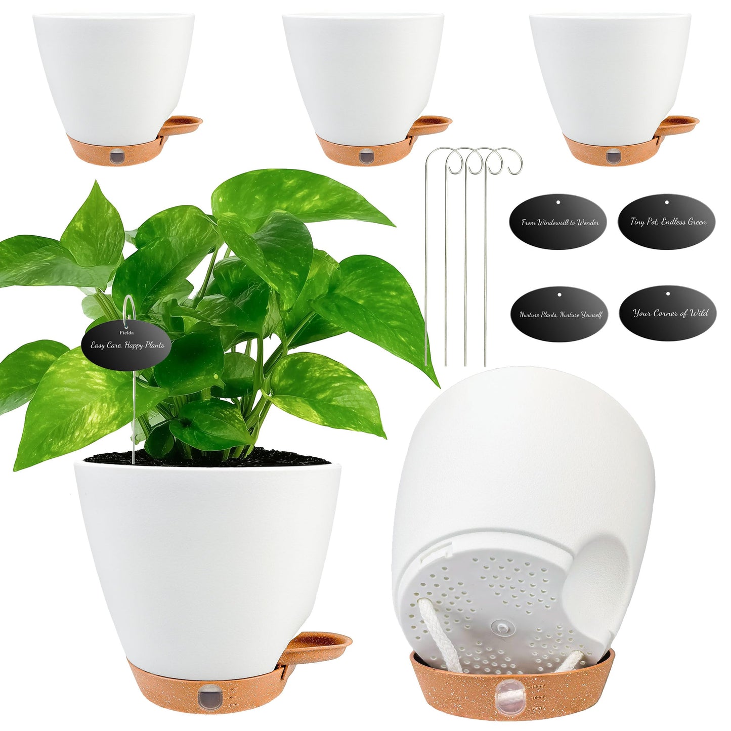 6 Inch Self Watering Pots for Indoor Plants(5-Pack) – Small Plastic Planters with Water Level Window, Drainage Holes & Detachable Trays, Indoor Outdoor Flower Pots for Herbs, Snake,Pothos(White)