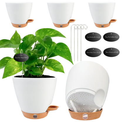 6 Inch Self Watering Pots for Indoor Plants(5-Pack) – Small Plastic Planters with Water Level Window, Drainage Holes & Detachable Trays, Indoor Outdoor Flower Pots for Herbs, Snake,Pothos(White)