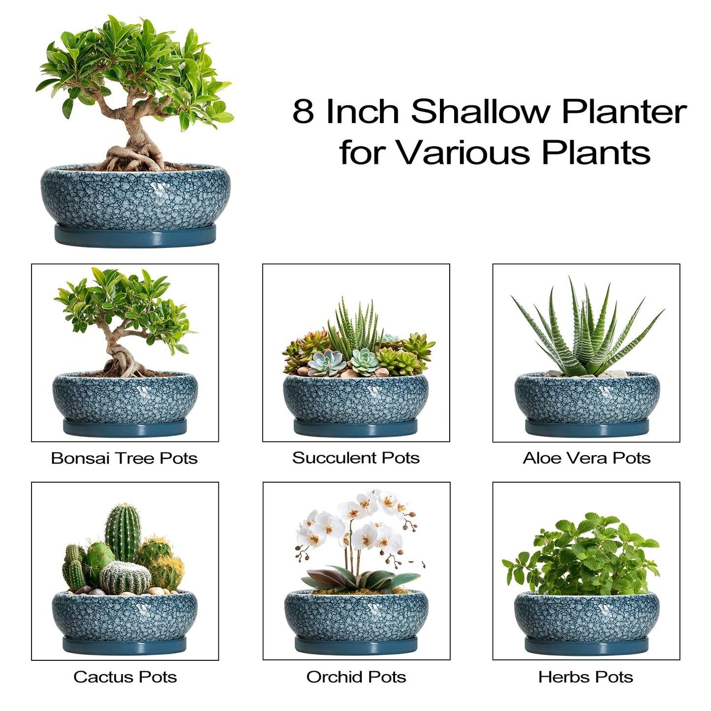 EPFamily Ceramic Bonsai Pots - 8 Inch Succulent Planters Indoor Outdoor, Bonsai Planters with Drainage Hole and Saucer, Shallow Planter, Round Planter Bowl, Home Decor, Gifts for Plant Lovers, Blue