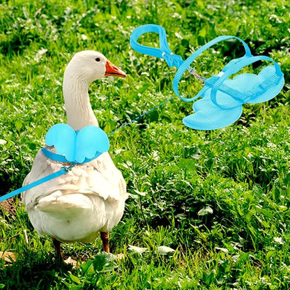 KAMA BRIDAL Duck Walking Harness and Leash Chicken Duck Outdoor Training Rope Adjustable Rope for Pet Poultry Hen Cock (XS, Blue)