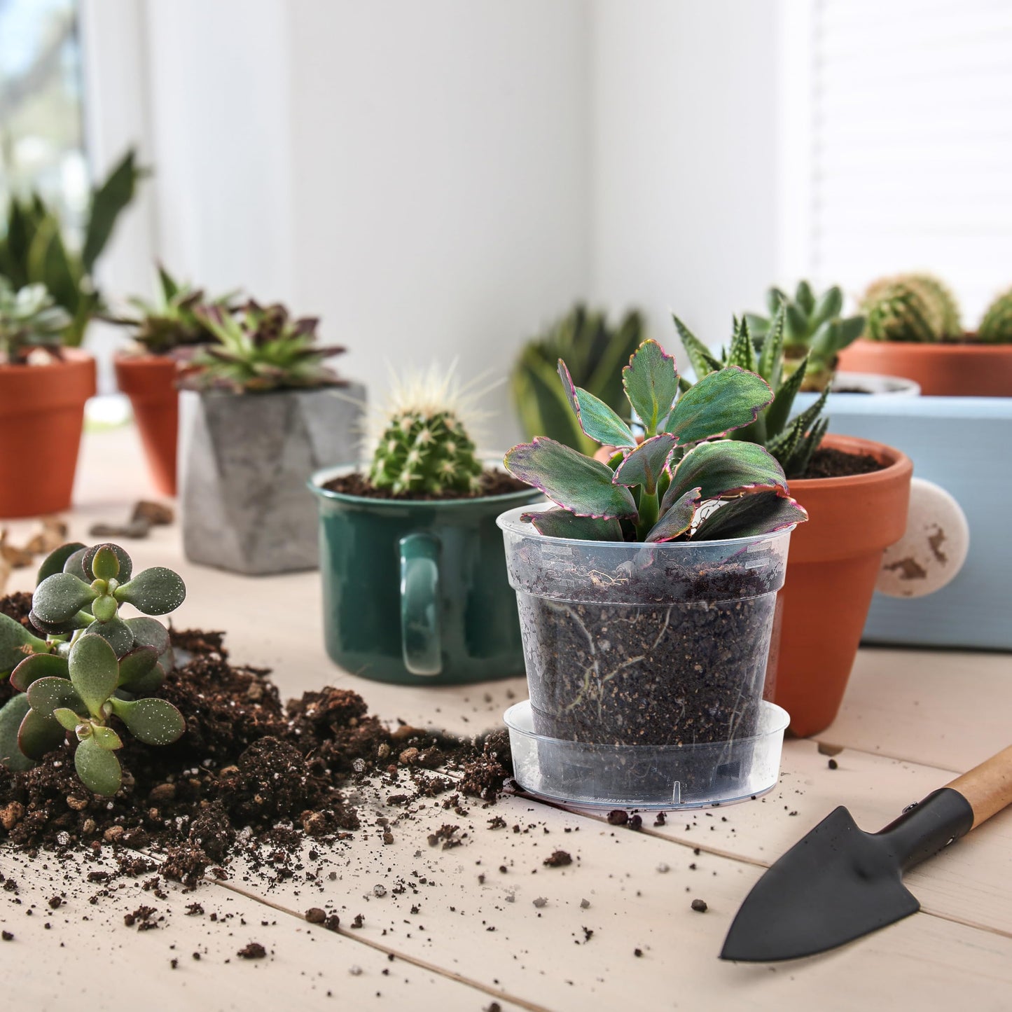 4 Inch Clear Plastic Plant Pot with Drainage Holes, Interlocking & Detachable Tray - Deep Saucer - Durable BPA-Free Plastic, Transparent Design, Raised Base for Airflow, Set of 6, 92-X-A-2