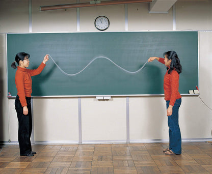 GSC International N-00007 Wave Generation Spring for Physics Classroom Modeling and Equipment.