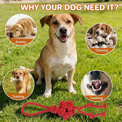 3 Pack Cotton Rope Dog Toy Set, Indestructible Chew Toys for Aggressive Chewers, Puppy Teething Toys with Bone, Human & Chinese Knot Designs for Boredom Relief & Tug of War， Red