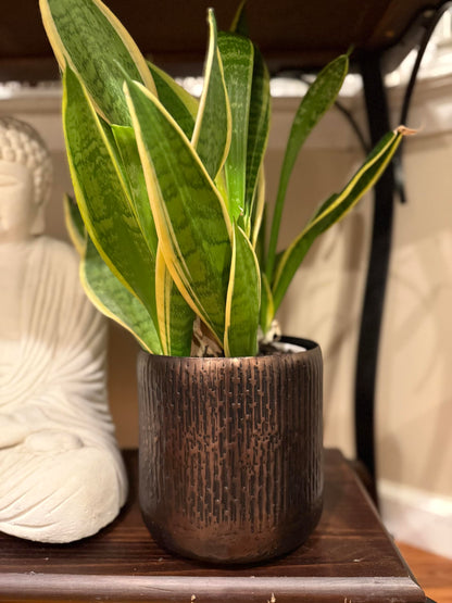 Set of 2 Antique Copper Handmade Metal Planters – Textured Grooved Design with Anti-Scratch Pads – Indoor Decorative Flower Pots with a Medieval Look – 7x7" and 5x5" Height Rustic Artisan Planter Set