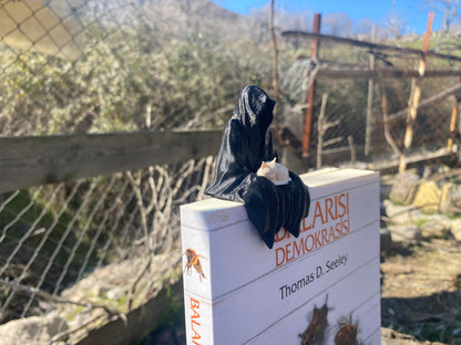 Sitting Ghost Figurine with Sleeping Cat – Suriel ACOTAR Inspired Decoration | Fantasy Bookish Home Decor | Gothic Spooky Aesthetic For Cat Lovers