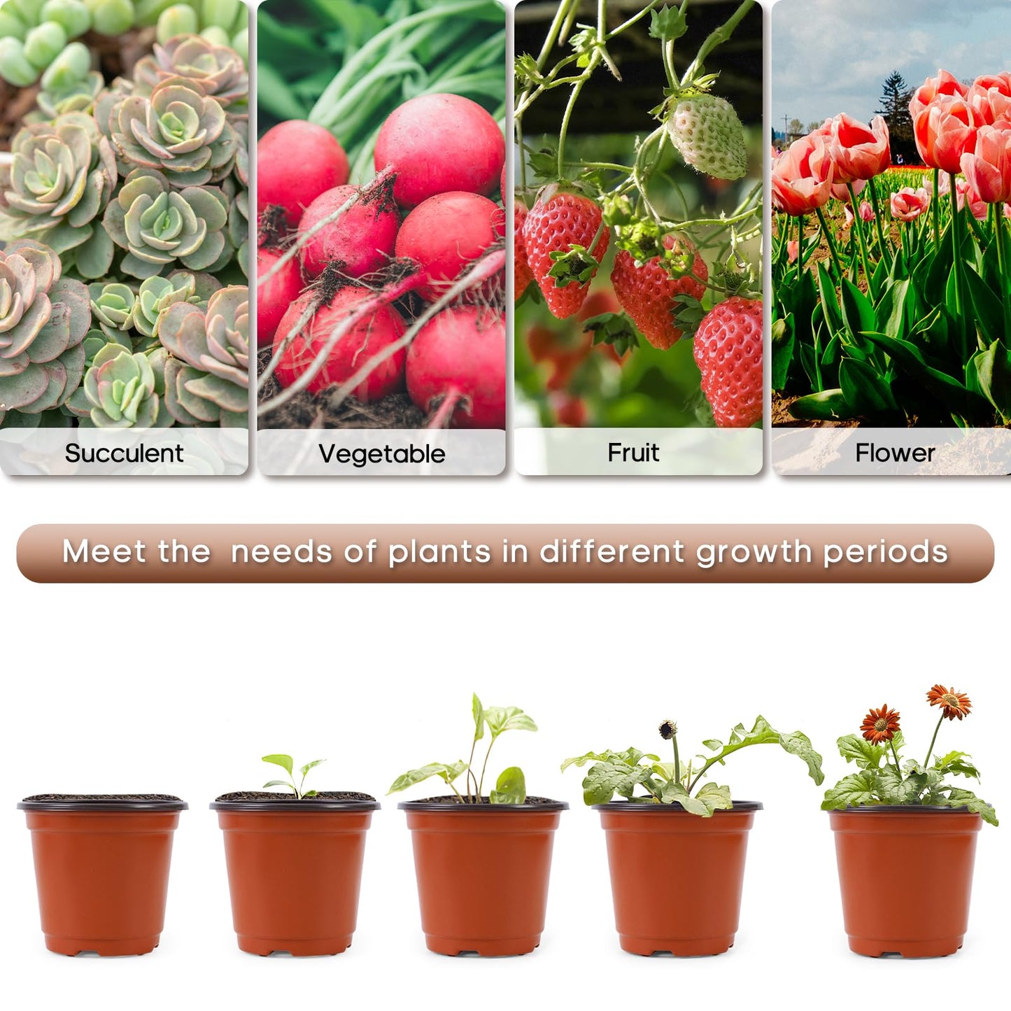 Hemikaki 200 Pack 6 Inch Plastic Nursery Pots for Plants, Seedling Pots Succulent Pots Flower Pots with Drainage Holes, Come with 200pcs Plant Labels
