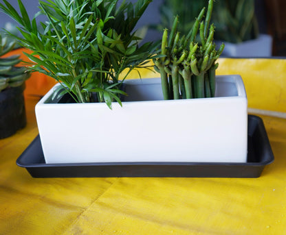 Vuwez Plant Saucer Tray, Heavy Sturdy Long Narrow Plastic Plant Saucers Drainage Trays for Indoors No Holes, Plant Drip Trays for Pots Base, Seed Starter Growing Tray (6.5 X 13 inch, Black)