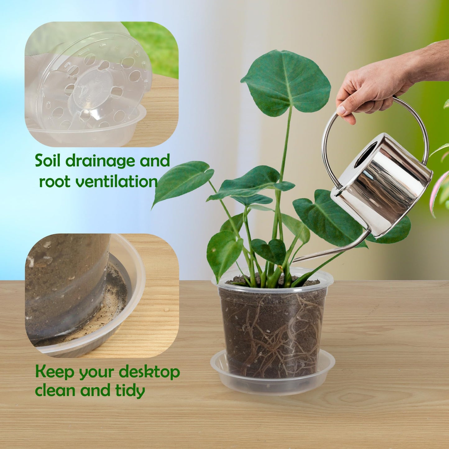 TNTIWQ 30 Pack 3/4/5/6/7 Inch Clear Nursery Pots with Drainage and 30 Pack Plant Saucers, Plant Pots for Plants Transparent Potting Containers for Plants Seeding Starter Pot (Clear, 3/4/5/6/7 Inch)