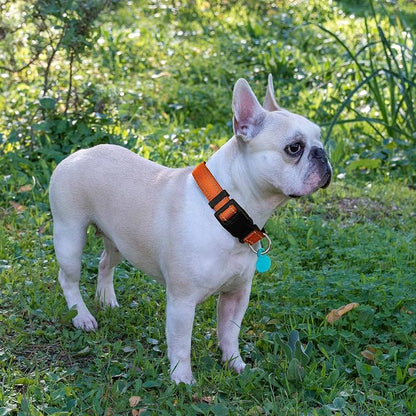 Ladoogo Reflective Dog Collar Padded with Soft Neoprene Breathable Adjustable Nylon Dog Collars for Small Medium Large Dogs (Small (Pack of 1), Orange Collar+Leash)
