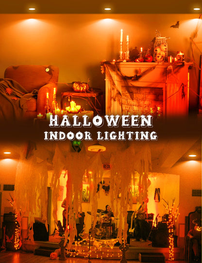 JandCase BR30 Halloween Light Bulbs, E26 Base Halloween Orange Indoor Flood Light Bulbs,Orange Flood Light Bulbs for Halloween Decoration,11W(65W Equivalent),Not-Dimmable, 2 Pack