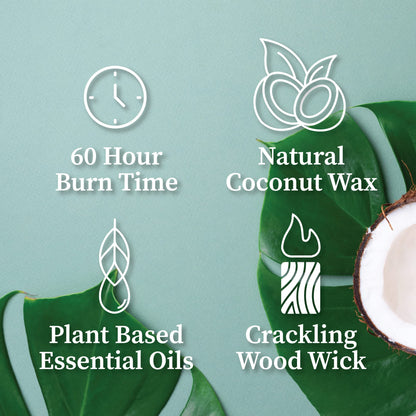 Hemlock Park Bergamot Cedar Apothecary Hand-Poured Scented Candle | Crackling Wood Wick, Botanical Fragrance & Coconut Wax | Up to 60 Hour Burn Time | 8 oz
