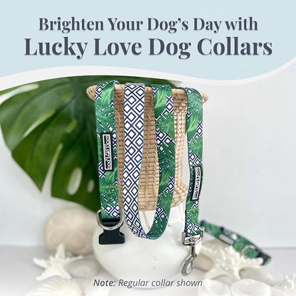 Lucky Love Dog Martingale Collar, Premium No Slip Martingale Collar for Small Boy Dogs, Great for Whippets, Greyhounds, and More (Small, Blue Laguna)
