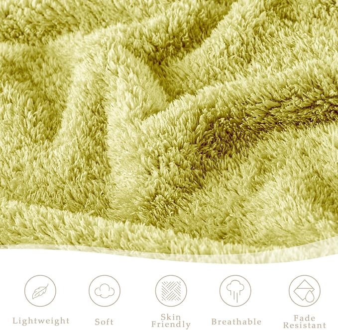 Exclusivo Mezcla Fleece Bed Blankets Queen Size, Ultra Soft, Lightweight and Fuzzy Light Green Blanket for Women, Home Decor, 90x90 Inches