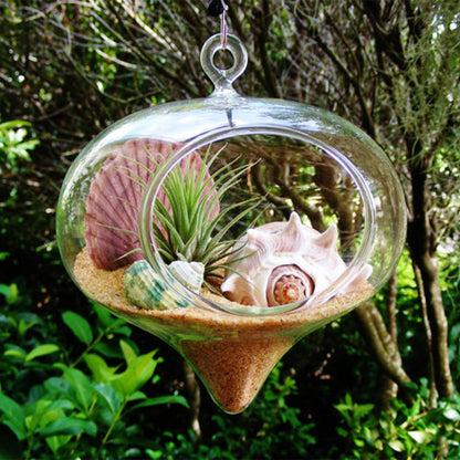 WGV Glass Hanging Plant Terrarium Bulk, Width 5", Height 5.5", Turnip DIY Succulent Air Planter Clear Tea Light Votive Candle Holder for Event Home Garden Outdoor Decor, 6 Pieces