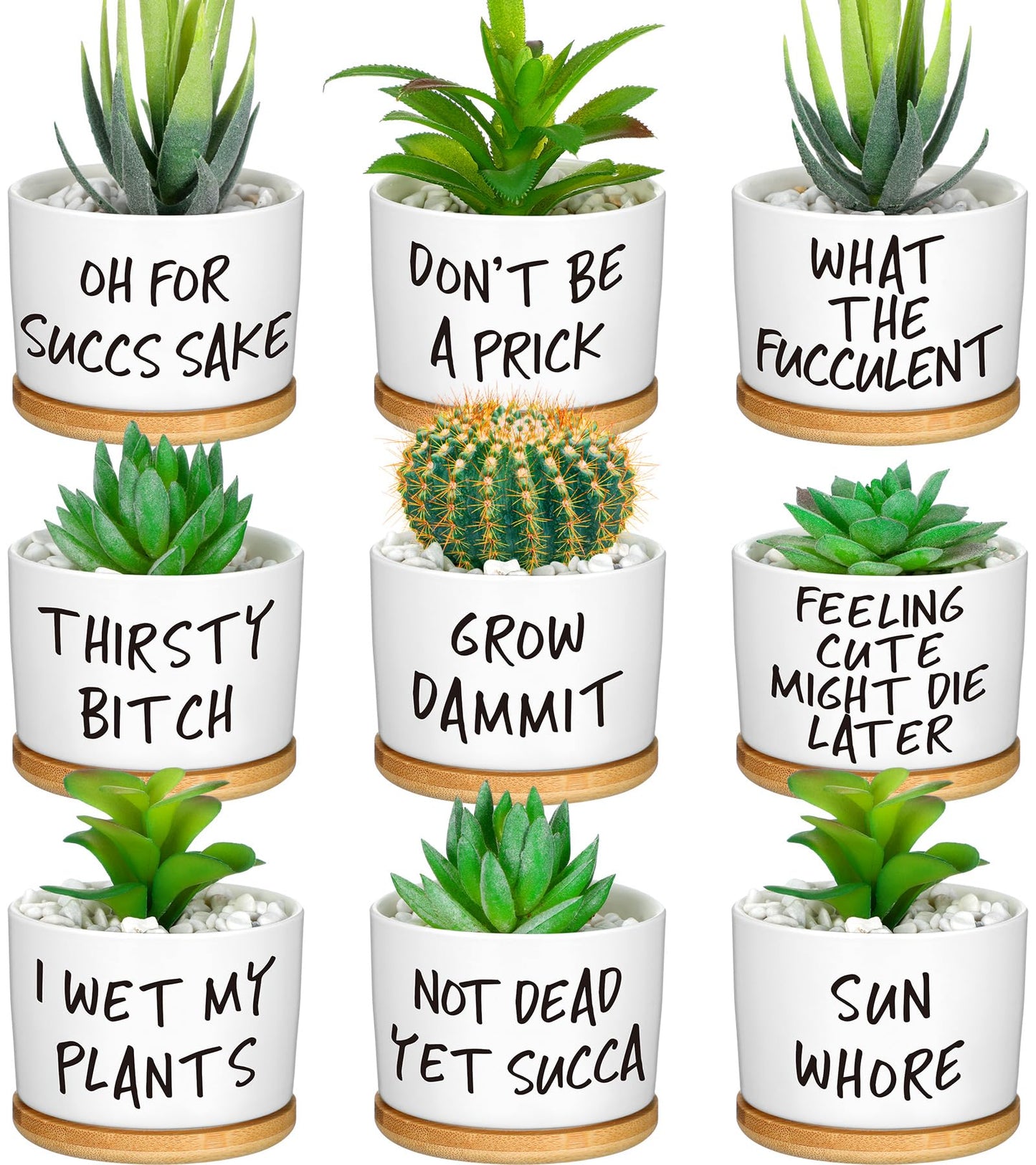 Domensi 9 Pcs Funny Succulent Pots Cute Aloe Cactus Planter with Bamboo Tray Ceramic Accessories White Mini Flower Drainage Tray Pots Indoor Outdoor Plants Birthday Gifts Housewarming Women Coworker
