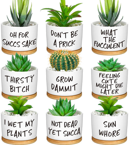 Domensi 9 Pcs Funny Succulent Pots Cute Aloe Cactus Planter with Bamboo Tray Ceramic Accessories White Mini Flower Drainage Tray Pots Indoor Outdoor Plants Birthday Gifts Housewarming Women Coworker