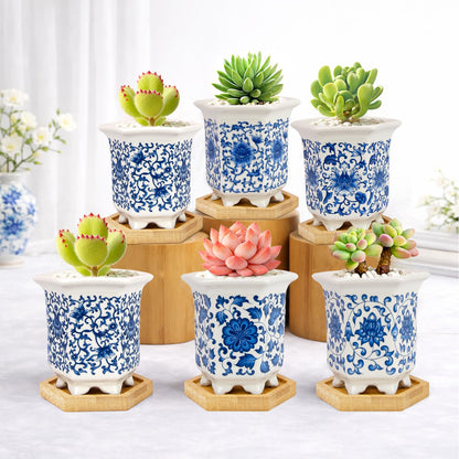Succulent Pots, Small Ceramic Pots for Plants Set of 6, 3.3" Succulent Planters with Drainage & Saucers, Mini Plant Pots for Indoor Plants, Cactus, Small Flower Pots for Home Office