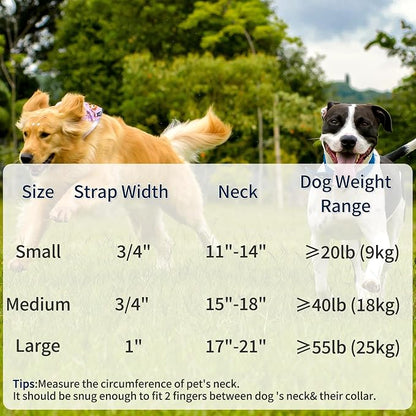 Mile High Life Genuine Leather Dog Collar, Heavy Duty Canvas Collar with Adjustable Metal Pin Buckle for Small Medium Large Dogs (Black, L Neck 17"-21")