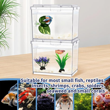 MoonOrange Mini Betta Fish Tank, Small Fish Bowl for Temporary Space, 0.2 Gallon Stackable Cube Tank with Artificial Plants and Gravels for Small Fish, Insect, Shrimp, Crab, Spider.(Pack-2)