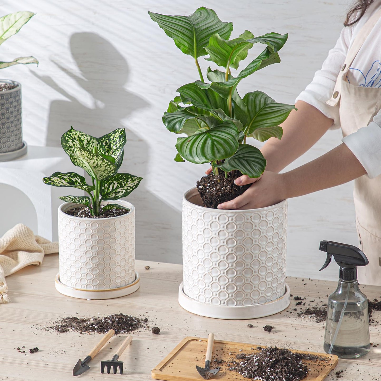 Chubacoo 6 Inch Plant Pot: Ceramic Planter with Drainage Hole & Saucer Indoor Outdoor Plants - Cylinder Round Flower Pot for Home Office - Modern Decorative - Small White