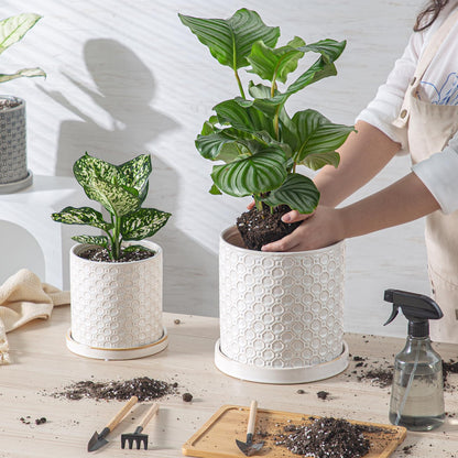 Chubacoo 6 Inch Plant Pot: Ceramic Planter with Drainage Hole & Saucer Indoor Outdoor Plants - Cylinder Round Flower Pot for Home Office - Modern Decorative - Small White