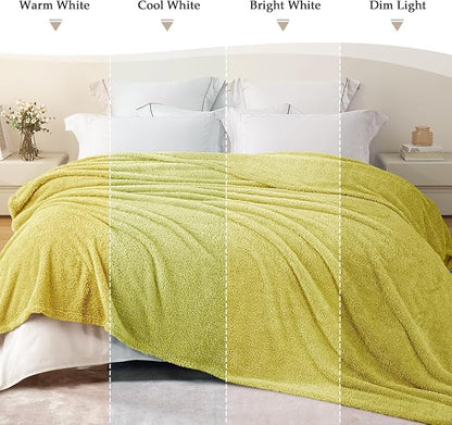 Exclusivo Mezcla Fleece Bed Blankets Queen Size, Ultra Soft, Lightweight and Fuzzy Light Green Blanket for Women, Home Decor, 90x90 Inches