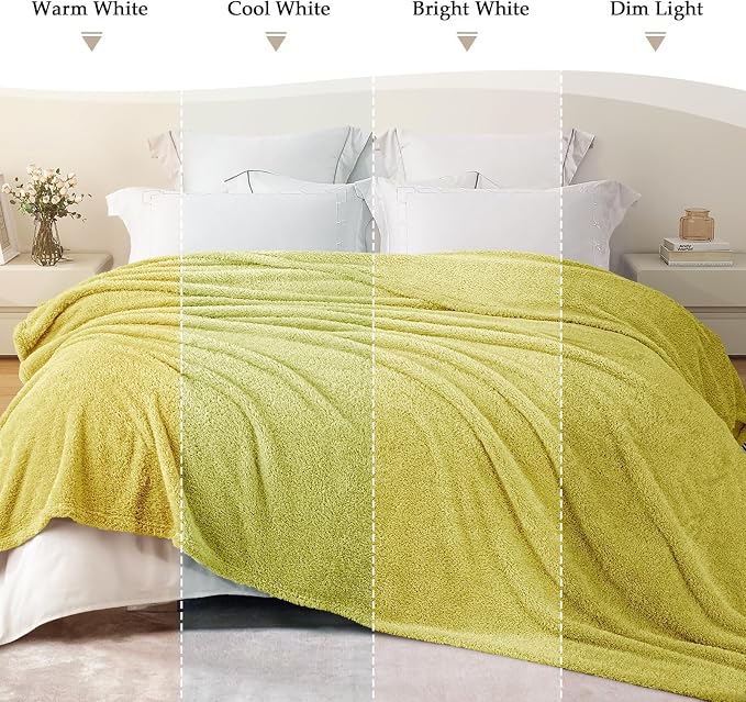Exclusivo Mezcla Fleece Twin Size Bed Blanket, Ultra Soft, Lightweight and Fuzzy Light Green Blanket for Women, Home Decor, 60x80 Inches