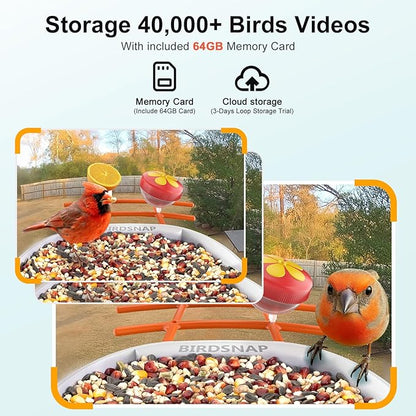 birdsnap® PAV-Bird Feeder with Camera,2K HD with 64GB Card, AI Identify Smart Bird House Cam Solar Panel,Live Stream,Motion Detection,Auto Record Video for Backyard Outdoors,Ideal Gift for Bird Lover
