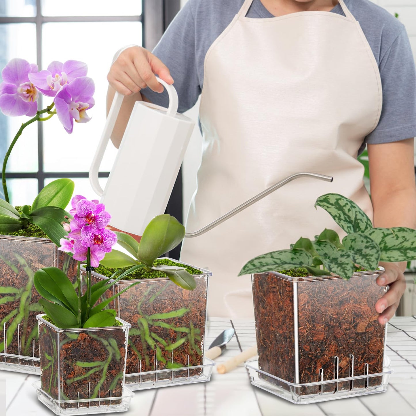 IWNTWY Clear Plant Pots, 6/5/4/3 Inch Set of 4 Flowers Pot with Drainage Holes and Saucer for Indoor Outdoor Plants, Breathable Plastic Planters Orchid Pot for Repotting