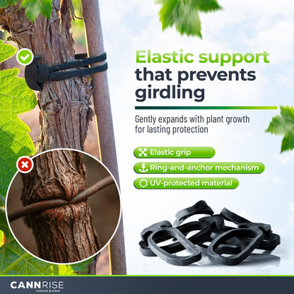 Anchor Bands for Trellising – 110-Pack 5 cm/1.96 in Rubber Vine Ties, UV-Protected Bands: Grapevines, Trees & Climbing Plants – Tool-Free Loop-and-Anchor Design for Install, Weatherproof