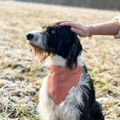 Pettsie Hemp Dog Bandana Collar & Matching Owner Friendship Bracelet | Adjustable, Durable Hemp & Soft Cotton, Matching Friendship Bracelet, Designed for Dog Lovers