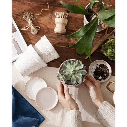 MIKIGEY Ceramic Succulent Pots with Drainage Hole & Saucer, 4 Inch Small Plant Pots, Ceramic Planter for Indoor Plants, Embossed Flower Pots, Home Decor, Set of 4, Off-White