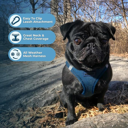 Best Pet Supplies Voyager Step-in Air All Weather Mesh Harness and Reflective Dog 5ft Leash Combo with Neoprene Handle, for Small, Medium and Large Breed Puppies - Blue, Large