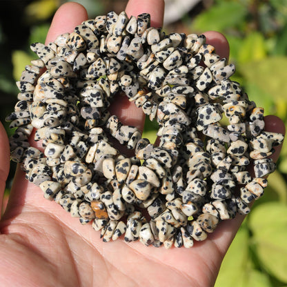200pcs Natural Irregular Chip Stone Beads 5-8mm Pre-Drilled 30-inch Strand Semi-Precious Healing Crystal Beads for DIY Jewelry Making Bracelet Chakra Crafts Dalmation Jasper