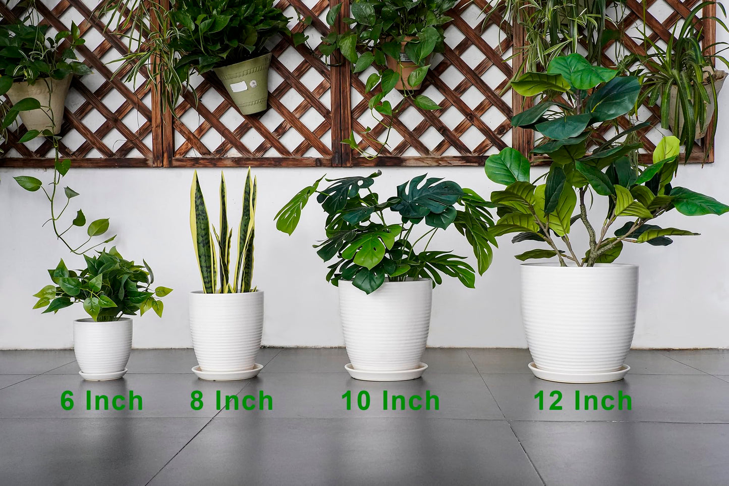 EPFamily Ceramic Pots for Plants - 6 Inch Plant Pot with Drainage Hole and Saucer, Round Planters for Indoor Outdoor, Flower Pots, Modern Planter, Home Office Room Decor, Gifts for Plant Lovers, White