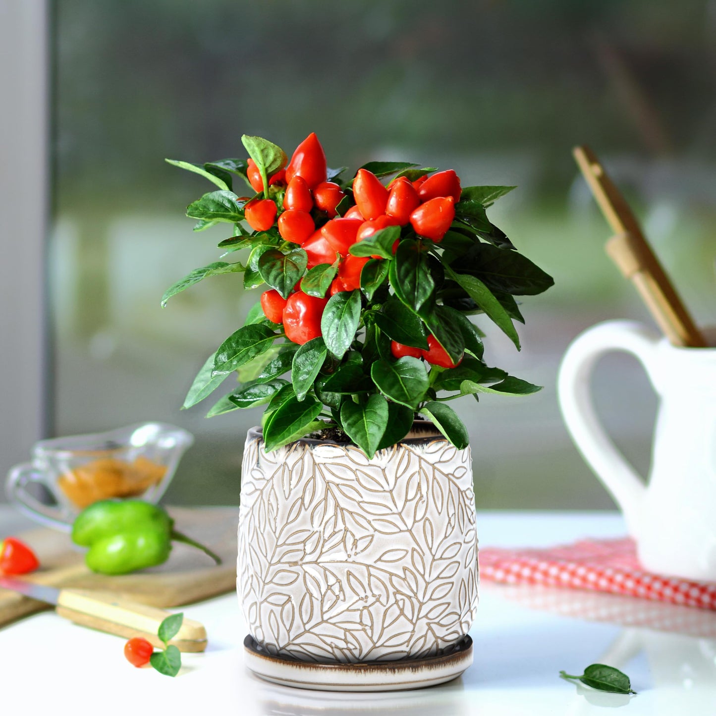 D'vine Dev 5 Inch Embossed Leaves Stoneware Planter Pot with Drainage Hole and Saucer, Smoked White, Set of 2, 27-F-V-1