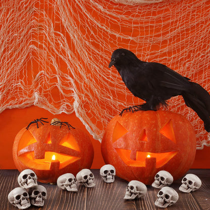 Boao 10 Pieces Halloween Skeleton Head Small Mini Skulls for Halloween Party Decoration Props, Table Decor
