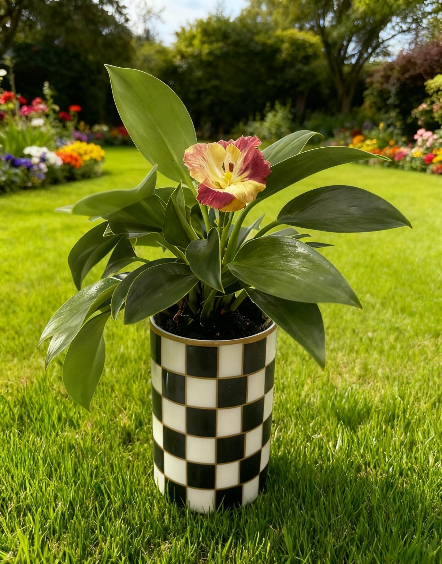 Porlien Ceramic Checker Plant Pots Indoor with Drainage, Set of 2