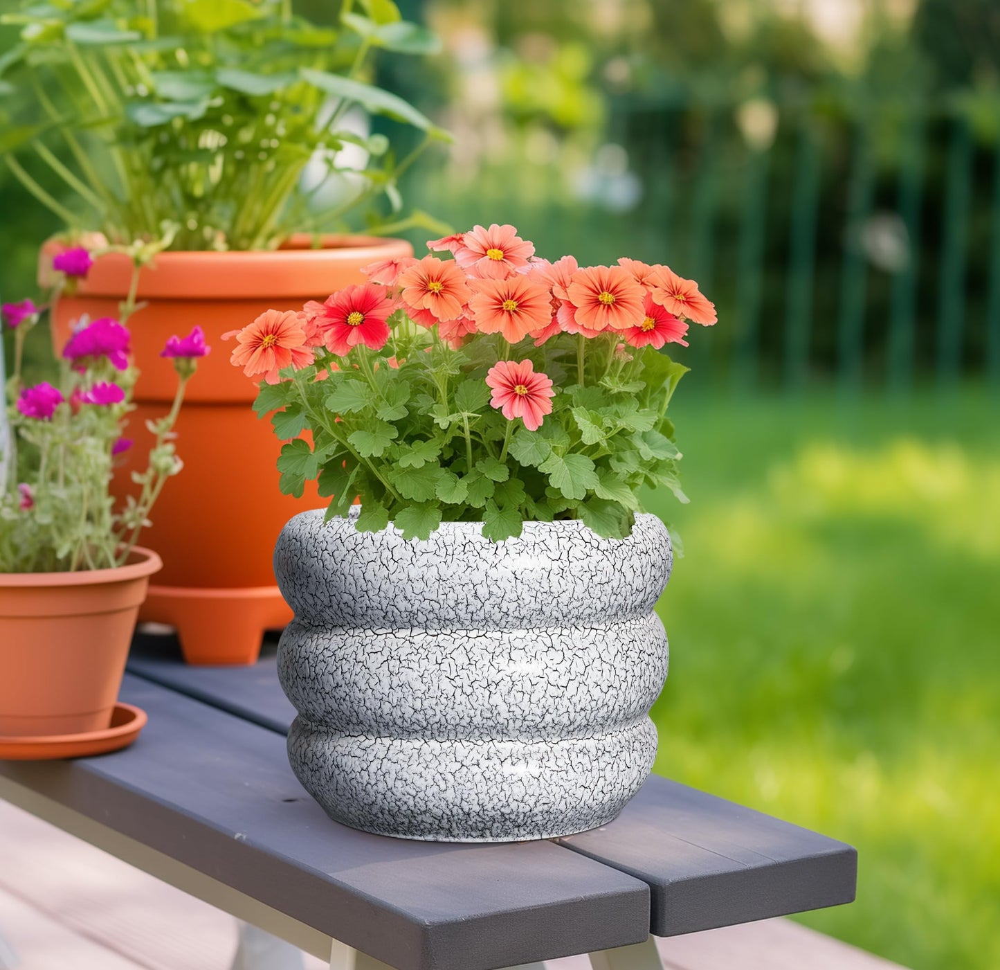 SQOWL Ceramic Pots for Plants - 8 Inch Plant Pot with Drainage Hole, Round Planter for Indoor Plants, Ceramic Flower Pots Outdoor, Modern Planter, Room Decor, Gifts for Plant Lover, Black and White