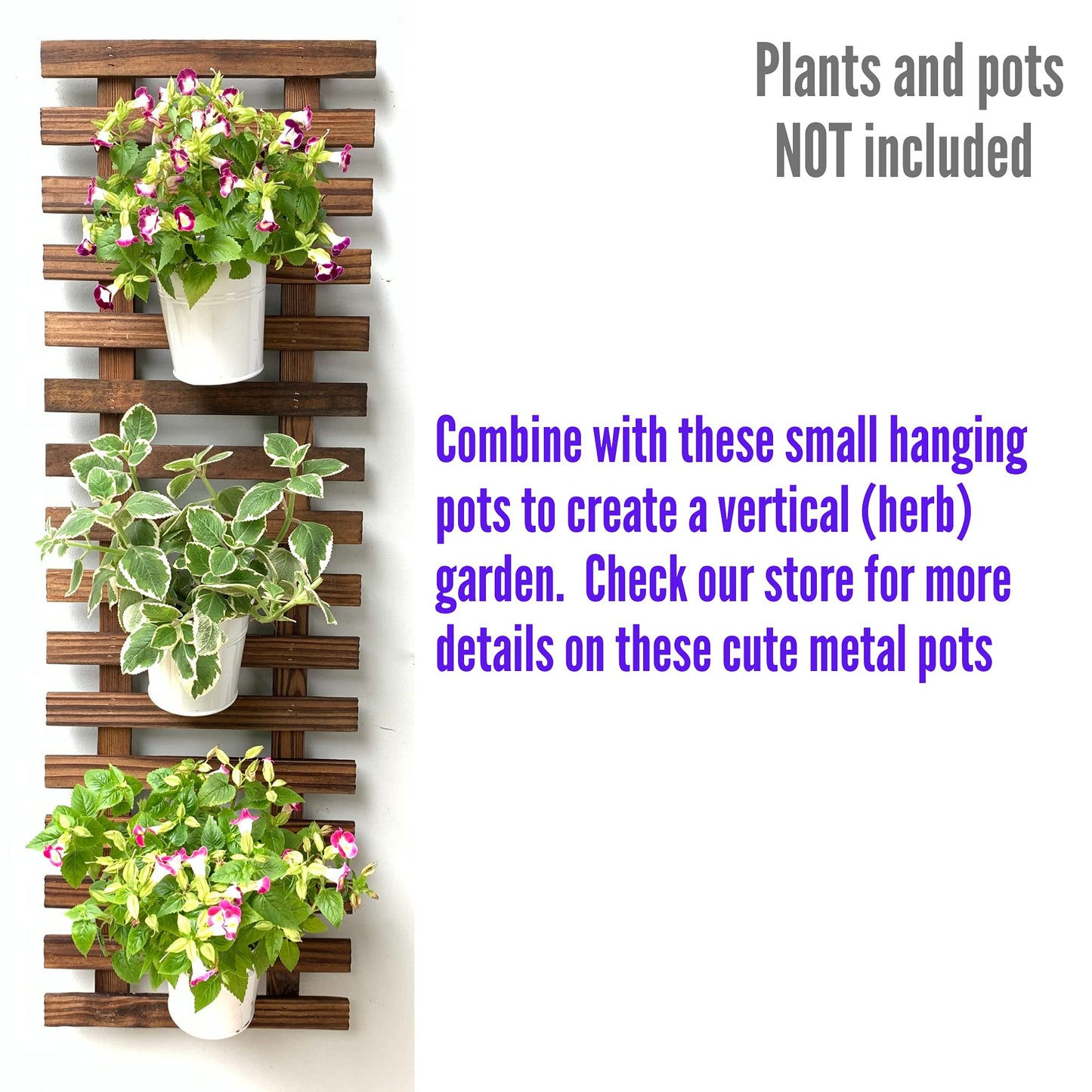 LalaGreen Bundle - 4 Inch, 10 Pack Self Watering White Plastic Pot + 2 Pack Wooden Plant Holder Wooden Hanging Planter, Plant Stand, Air Plant Succulent Holder, Outdoor Vertical Garden