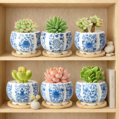 celamos Succulent Pots 6 Pack, Small Flower Pots with Drainage Bamboo Tray, 3.1 Inch Succulent Pots for Indoor Plants, Cactus Pots and Planters, Decorative Small Pots for Home Office