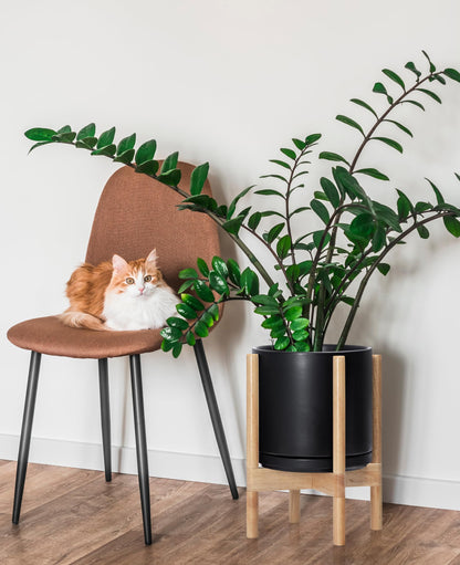 D'vine Dev Ceramic Planter with Natural Stand - 10 Inch Modern Round Flower Pot with Wood Planter Holder, Black, 55-B-K-2