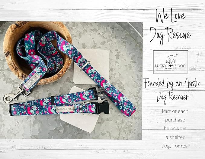 Lucky Love Dog - Easy Click Buckle Dog Collar with Leash Set Combo, Durable & Comfortable for Male & Female Dogs, Pet Collar for Medium Dogs, Secure Fit - Carriebelle Martingale Combo, Medium