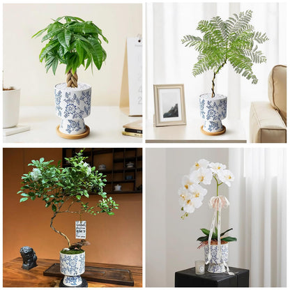 Blue and White Ceramic Flower Pot with Drainage Hole ，Elegant Succulent Plants and Orchid Planters, Home Decor Flowerpots with Tall Cup Shape Suitable for Tiger Tail Orchid and Floral Plants