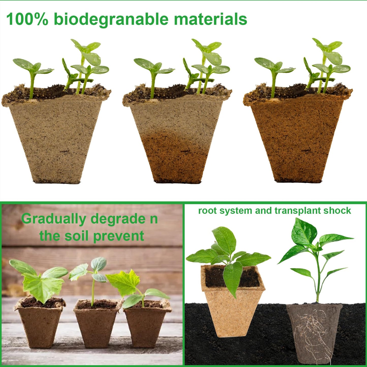 TIMEDIARY 300 Cells Peat Pots Seed Starter Tray, 25 Packs Biodegradable Seedling Pots Organic Germination Plant Starter Kit with 15 Pcs Plant Labels for Vegetables Herbs