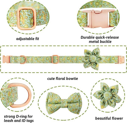 Dog Collar and Leash Set Girls Adjustable Puppy Collars with Planet Bow Tie for Small Medium Large Female Dogs, Green Planet, L