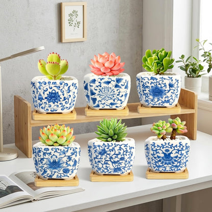Succulent Pots - 3.1" Succulent Planters with Drainage and Bamboo Trays, Ceramic Flower Pots for Indoor Plants, Small Succulent Pots for Cactus, Home Office Desk Decor, Set of 6