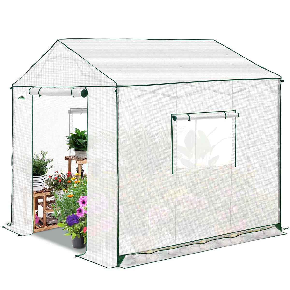 EAGLE PEAK 8x8 Portable Pop Up Greenhouse, Patented Center Lock Easy One Person Setup, Walk-in Outdoor Greenhouse with Gable Roof, Weight Bags, Zippered Doors & Windows, White