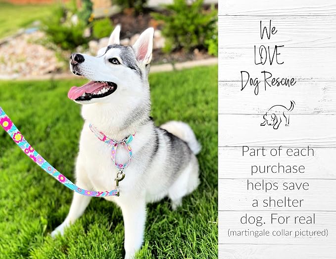 Lucky Love Dog Martingale Collar, Premium No Slip Martingale Collar for Large Dogs, Great for Whippets, Greyhounds, and More (Caroline, Large)